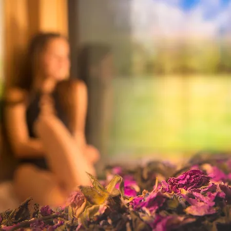 Sevtopolis Medical & Отель 5*